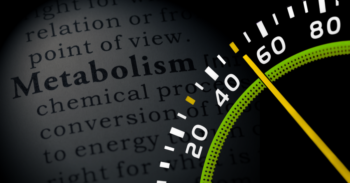 Understanding Your Metabolism at Every Age